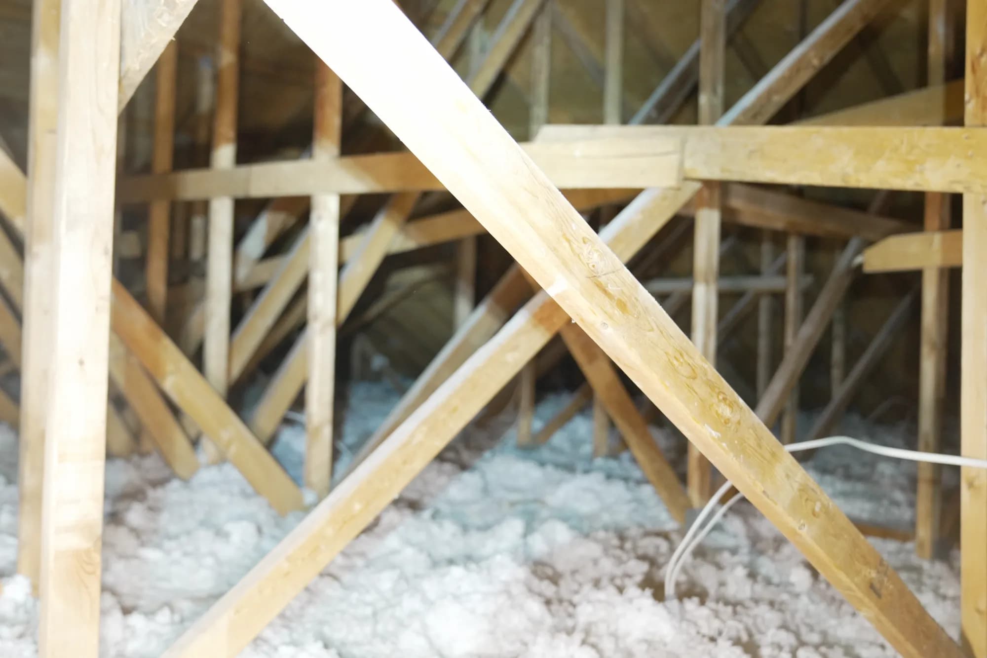 Wall Insulation